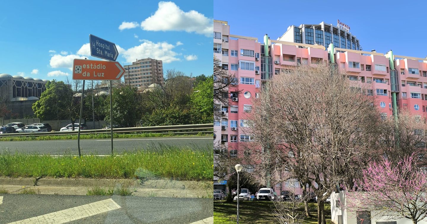 STTEPS em ação: mais um dia de trabalho produtivo!